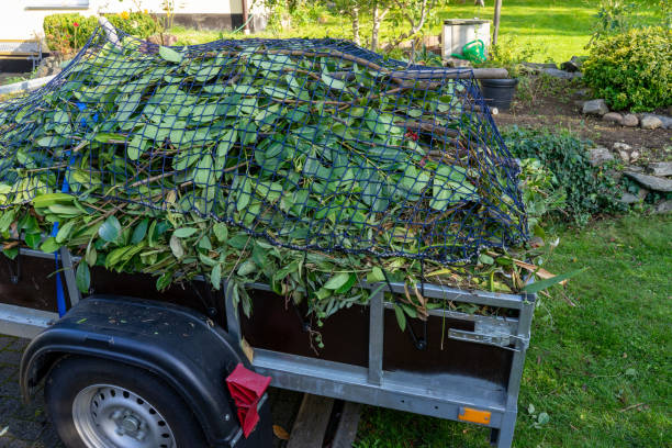Best Recycling Services for Junk  in Kirtland Af, NM